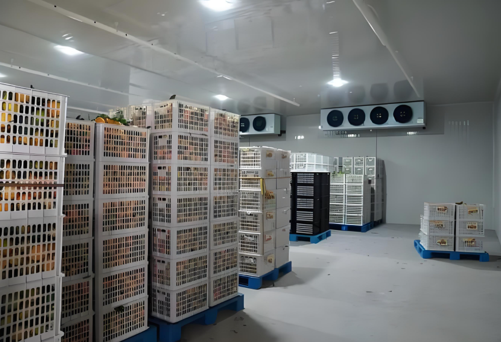 冷庫中貨物堆碼高度有限制嗎，依據(jù)是什么？